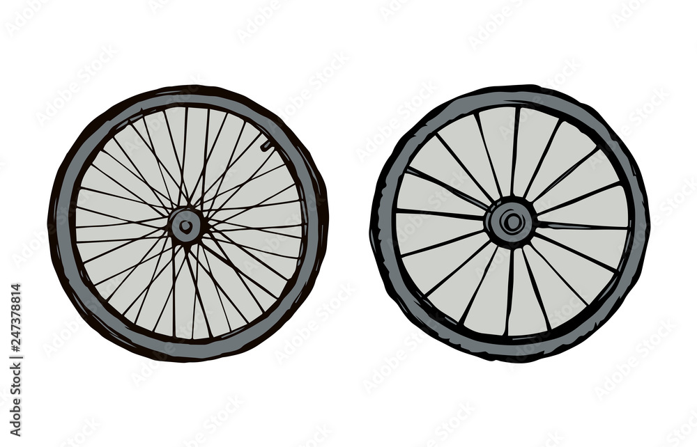 Tire. Vector drawing