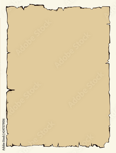 Paper. Vector drawing