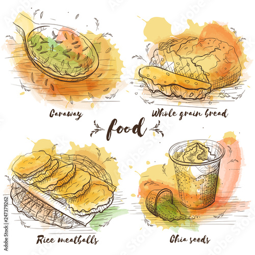 Vegetarian food in watercolor sketch style on white background. Vector.