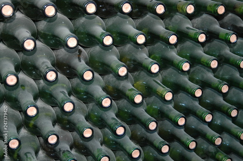 bottles in a cellar