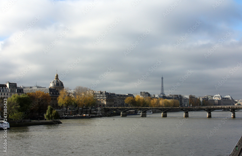 Fototapeta premium Seine River, Paris