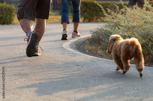 Sport background, urban runner's legs run on the street of public with dog.