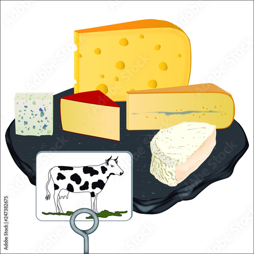Illustration vectoriel de fromages au lait de vache : Camembert, Gruyère,  Bleu d'Auvergne, Morbier et Gouda, posés sur un plateau en ardoise et avec  un dessin de vache sur une étiquette. Stock