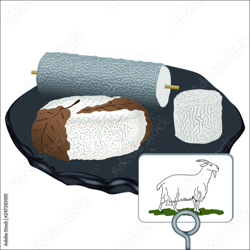 Illustration vectoriel de fromages au lait de chèvre : Bûche cendrée, Crotin, Banon, posés sur un plateau en ardoise et avec un dessin de chèvre sur une étiquette.