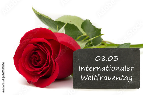 Internationaler Weltfrauentag 08.03 photo