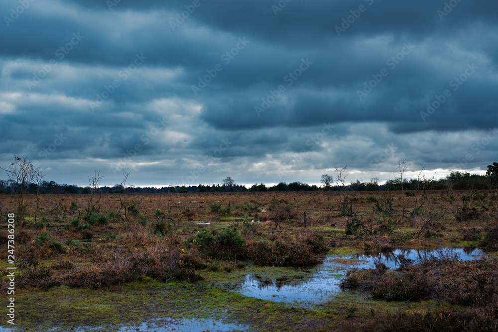 Stormy clouds over New Forest countryside
