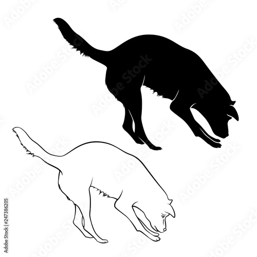The dog is sniffing. The dog is hear smell. Silhouette. Vector illustration.