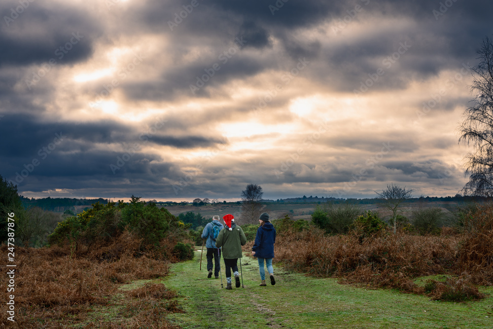 Stormy clouds over New Forest countryside