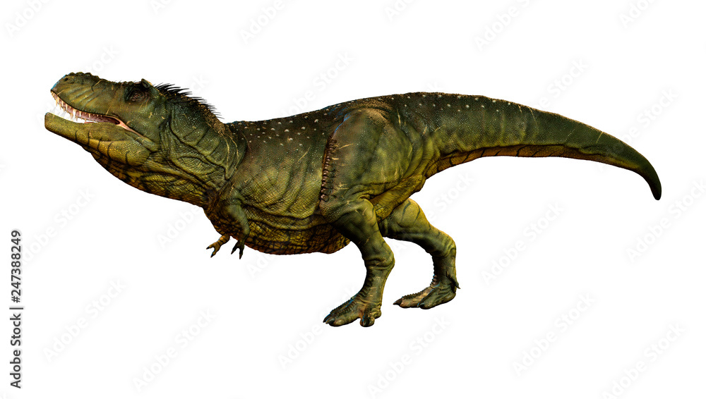 3D Rendering Tyrannosaurus Rex on White 3D Rendering Tyrannosaurus Rex on White