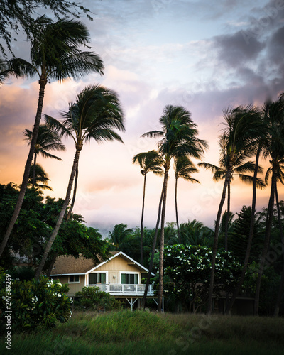 A house on Hawaii surrounded with palm trees © travel.n.think