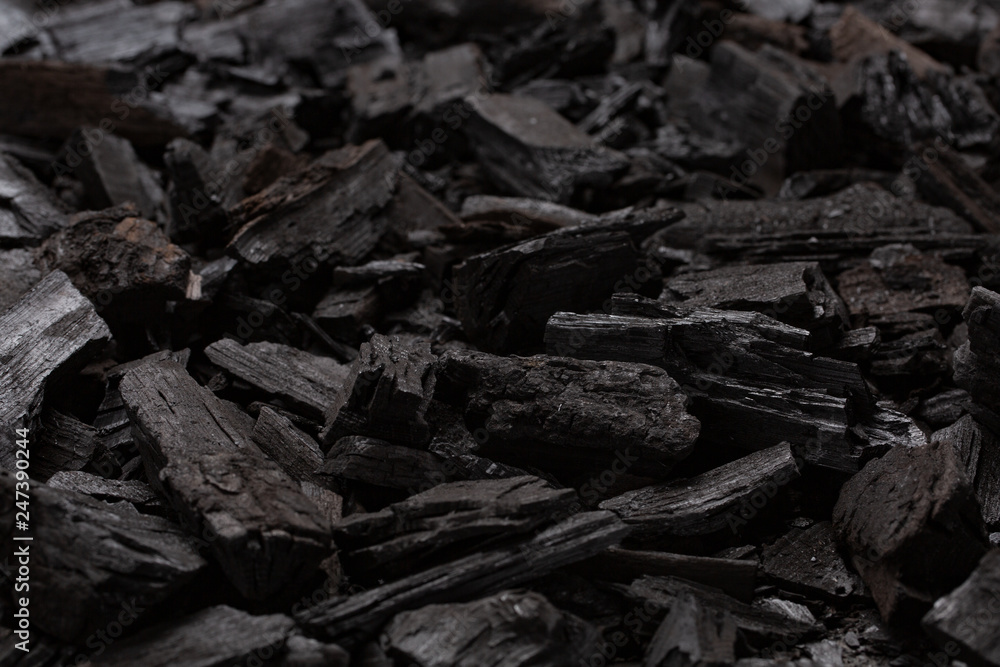 the black embers after burnt campfire closeup the black embers after burnt campfire closeup