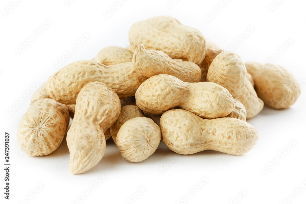 Peanuts. Two peeled nuts isolated on white background. Peanut macro. Peanuts. Two peeled nuts isolated on white background. Peanut macro.