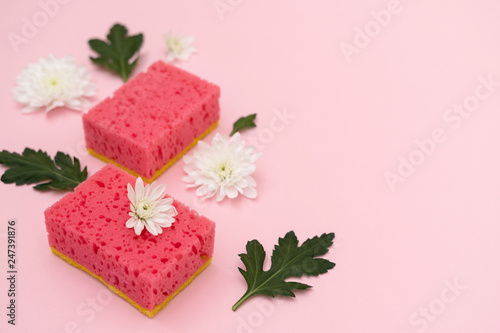 Sponges, white flowers and green leaves on pastel background