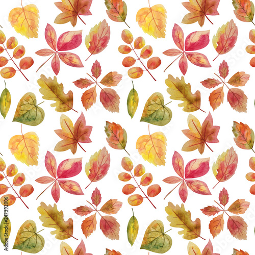 Watercolor seamless pattern with green  red  yellow autumn leaves. Watercolor floral background