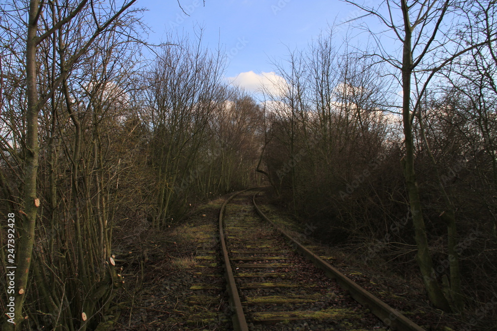 bahn, zug, anreisen, transport, road, stahl, beförderung, landschaft, aussicht, fahrt, way, abstand, baum, wald, natur, leitung, horizont, himmel, green bahn, zug, anreisen, transport, road, stahl, beförderung, landschaft, aussicht, fahrt, way, abstand, baum, wald, natur, leitung, horizont, himmel, green