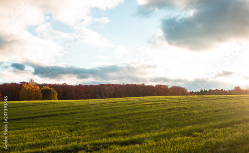 A sunrise over a filed in canada.