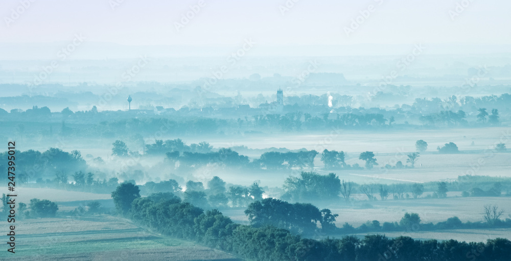 Landscape fields and trees among covered with fog