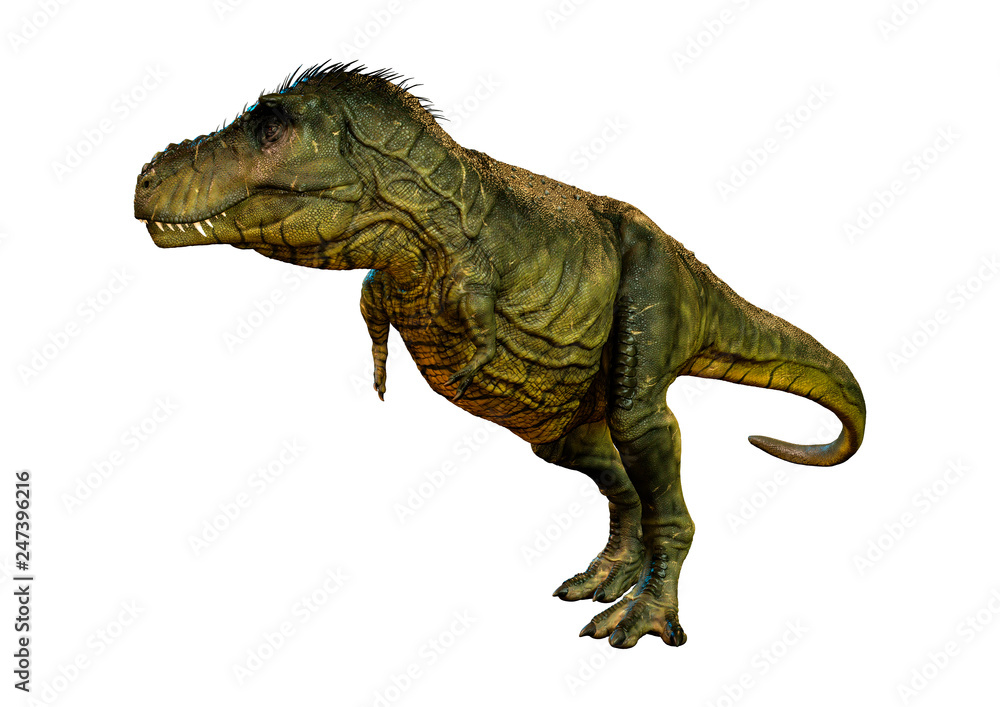 3D Rendering Tyrannosaurus Rex on White 3D Rendering Tyrannosaurus Rex on White
