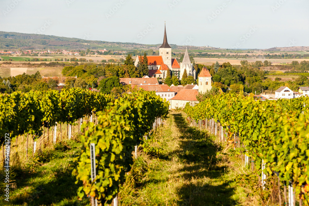 vineyard and Pulkau, Austria
