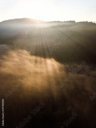 drone photo of foggy sunrise over forest, golden sun light with beams and shadows