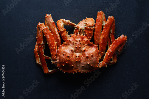 Big whole alaskan crab on dark concrete background photo