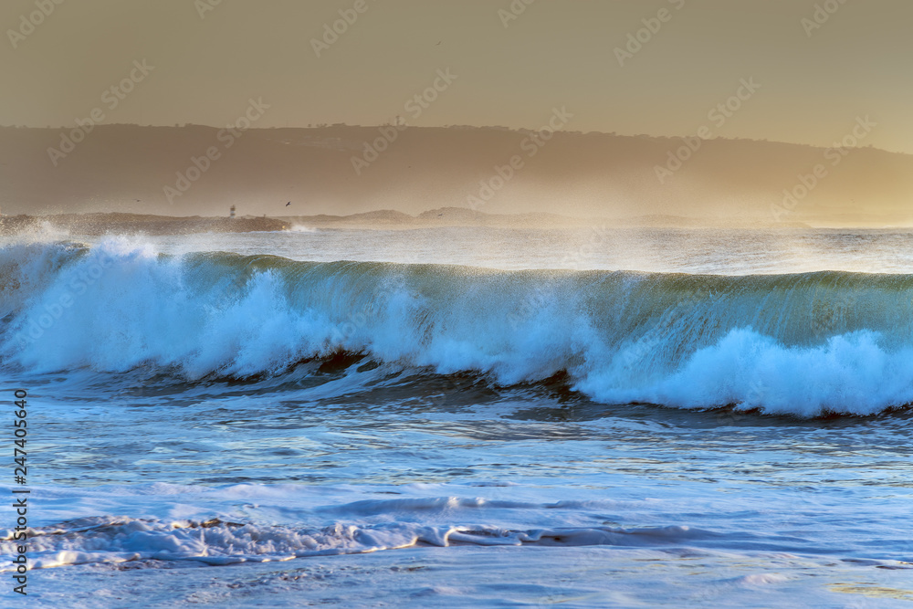 Atlantic ocean wave in evening light, Portugal coast.