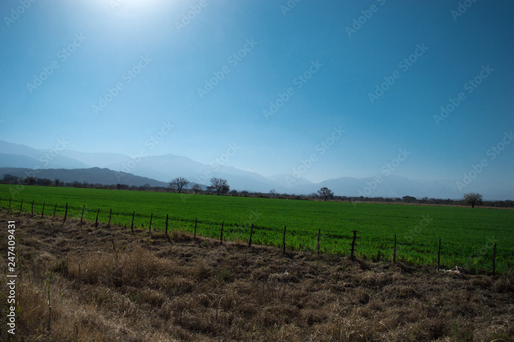 Obraz premium Campus and relax