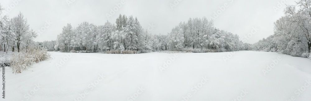 Panoramic aerial view of winter beautiful landscape with trees covered with hoarfrost and snow. Winter scenery from above. Landscape photo captured with drone.