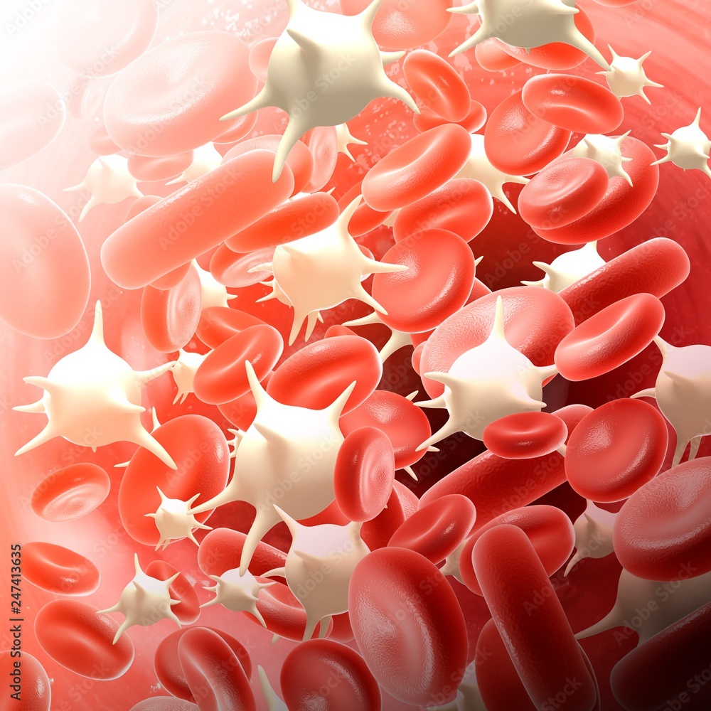 Red and white blood cells, illustration Stock Photo Biology Diagrams