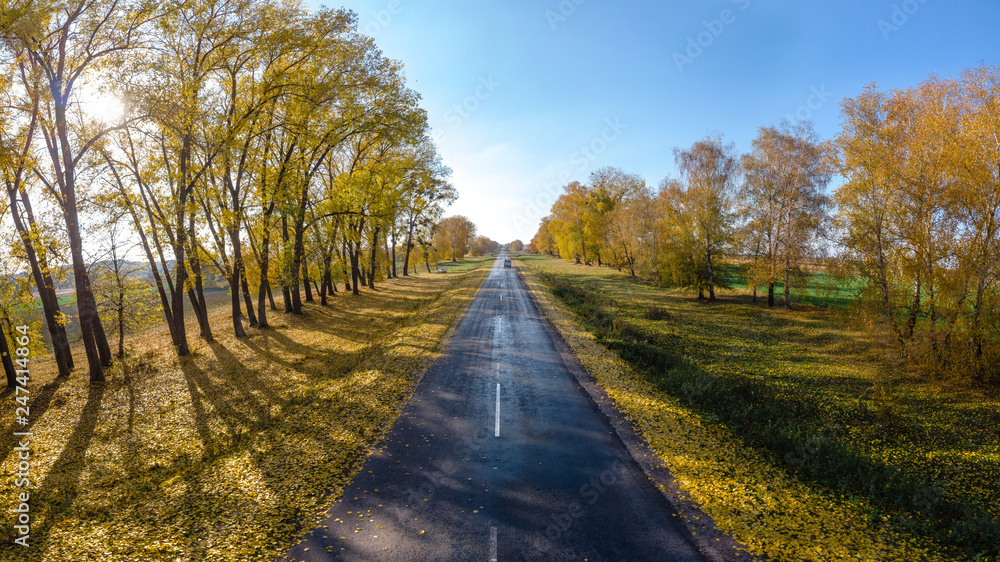 Autumn Fall, Road landscape - beautiful autumnal colors, sunny day, bright yellow leaves, travel concept