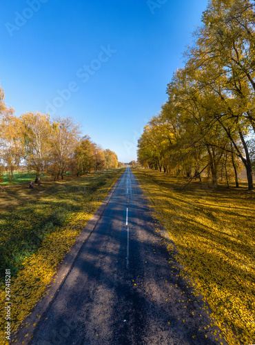Autumn Fall, Road landscape - beautiful autumnal colors, sunny day, bright yellow leaves, travel concept, vertical photo © Sergey