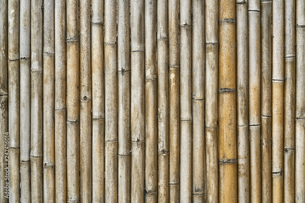 Asian traditional bamboo wall made of vertical trunks Asian traditional bamboo wall made of vertical trunks