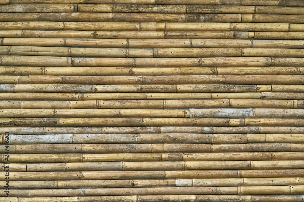 Asian traditional bamboo wall made of horizontal trunks Asian traditional bamboo wall made of horizontal trunks
