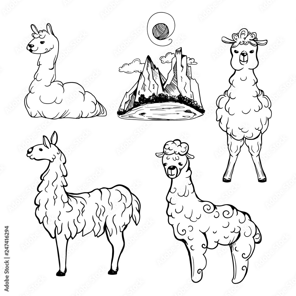 Lama and alpaca hand drawn set. Valley with mountains vector illustration. Cartoon  sketch style. Stock Vector | Adobe Stock