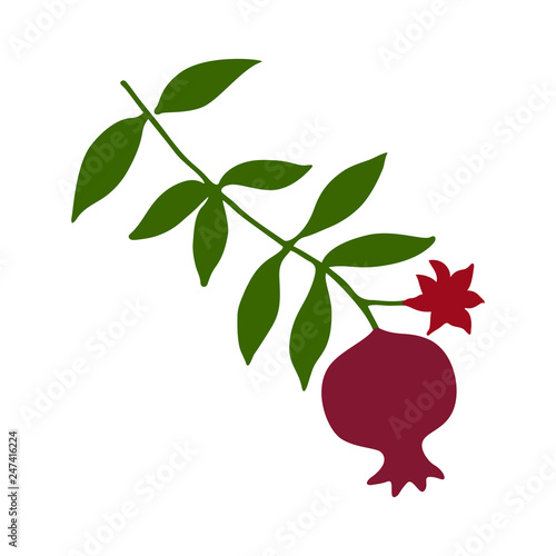 Sketch with pomegranate on branch with green leaves and flower silhouette. Red pomegranate fruit icon vector illustration.