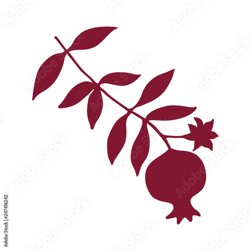 Sketch with pomegranate on branch with leaves and flower silhouette. Red pomegranate icon vector illustration.