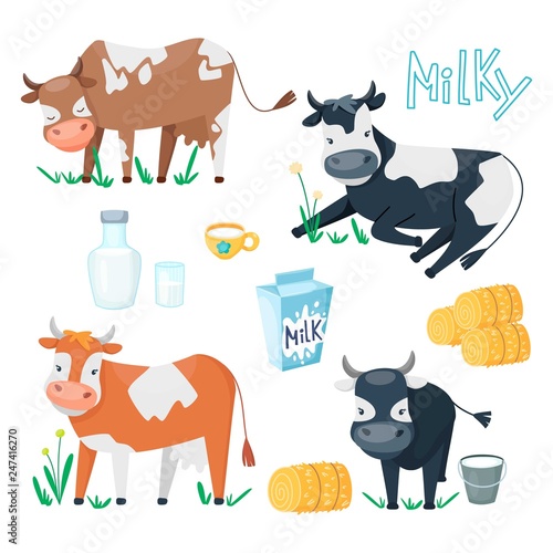 Set of cute happy cartoon cows with glass of milk, cup and haystacks. Farm animals in different poses with dairy products and grass.  Vector illustration. Flat style