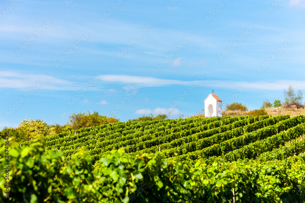 wayside near Hnanice with vineyard, Southern Morav