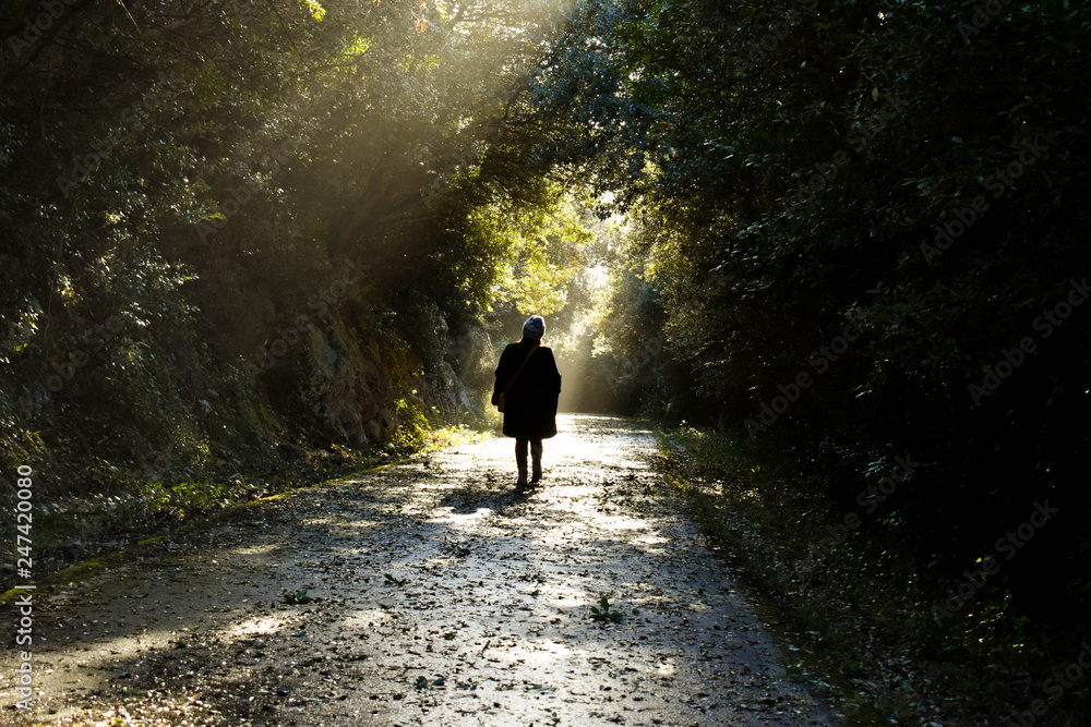 Caminando bajo los arboles 2