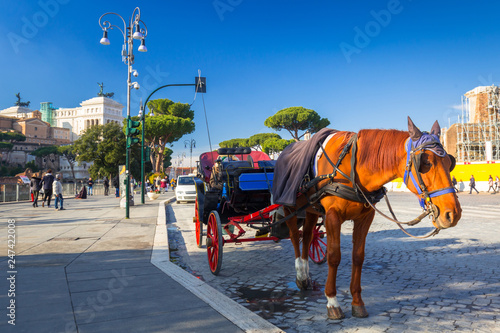 Horse carriage in the old town of Rome, Italy