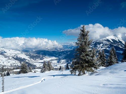 Winterlandschaft © FABIAN HÜSSER