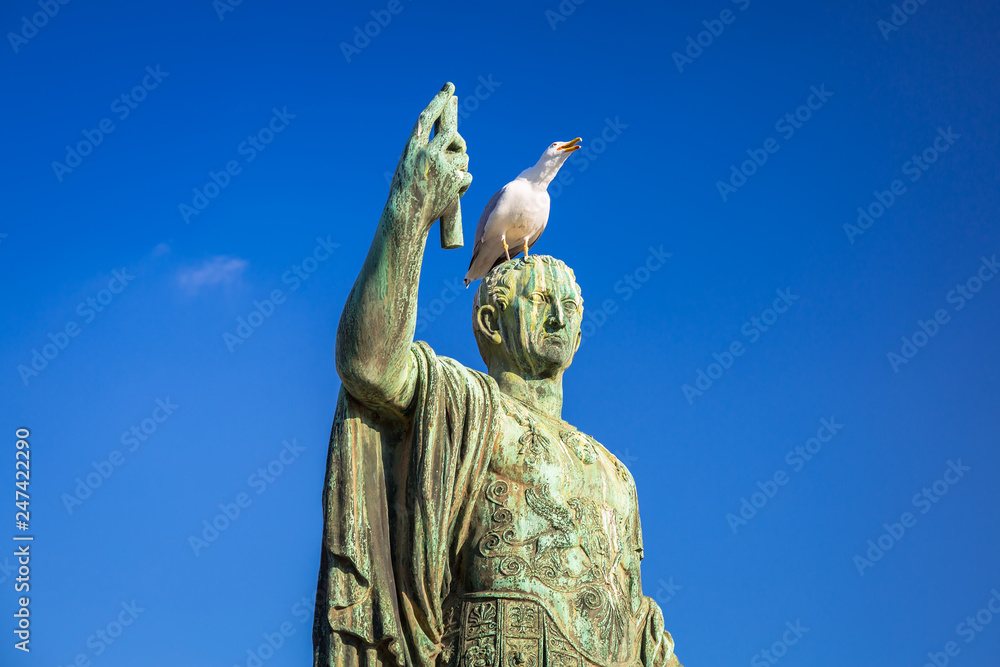 Obraz premium Seagull on the bronze Caesar statue at Trajan Market in Rome, Italy