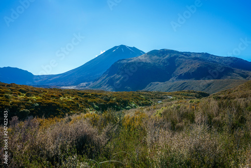 hiking tongariro alpine crossing,volcano mt ngauruhoe,new zealand 22