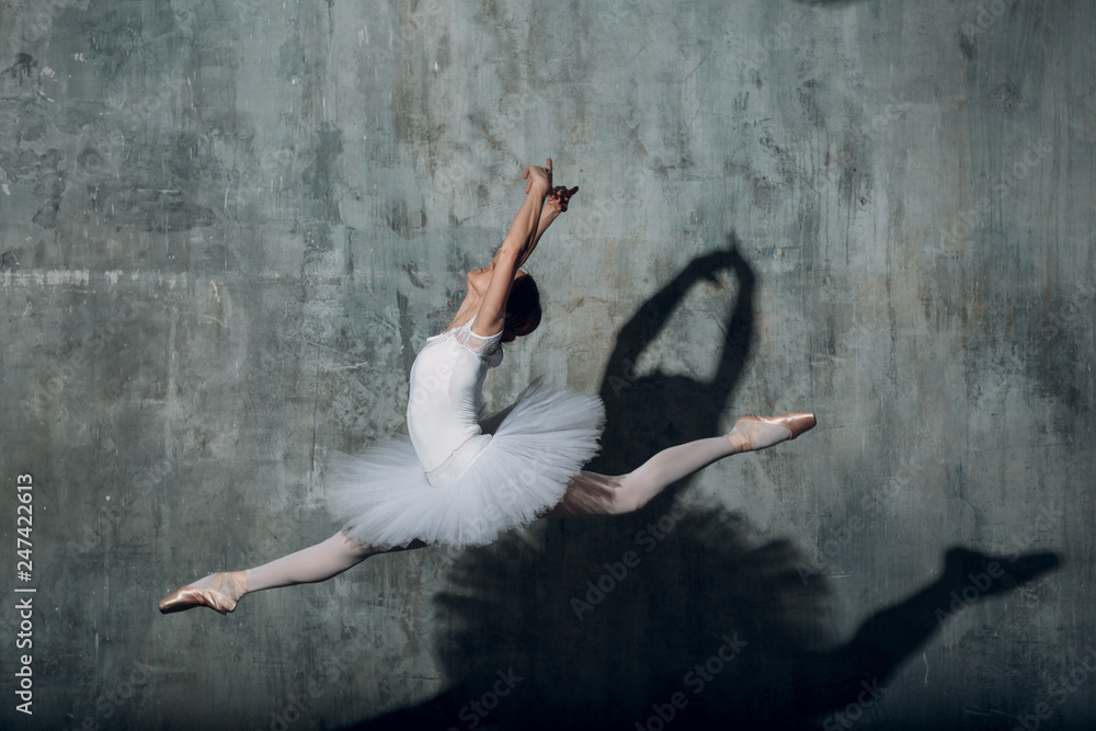 Ballet hot sale beautiful shoes