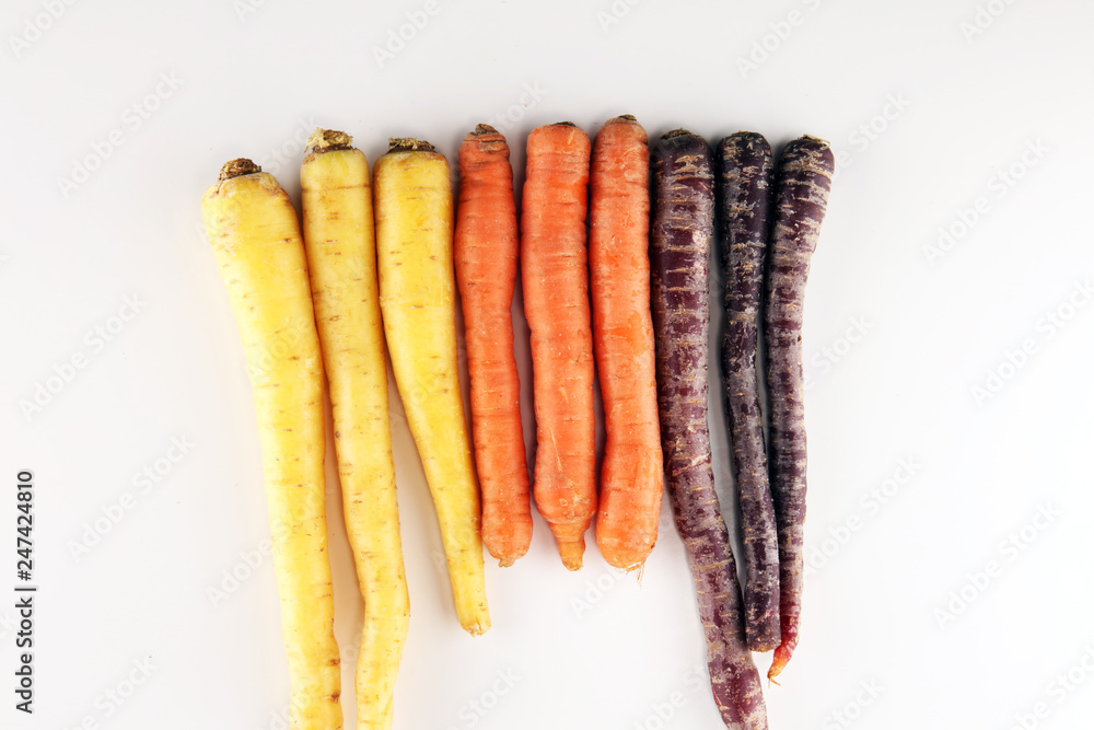 pile of carrots. Crate of mixed fresh harvested colorful carrot. pile of carrots. Crate of mixed fresh harvested colorful carrot.