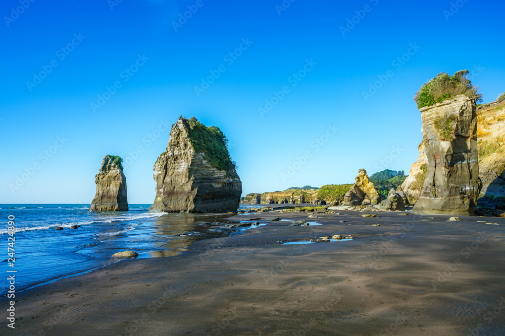 on the beach, 3 sisters and elephant rock, new zealand 12