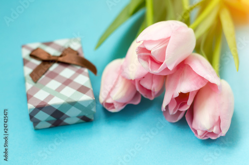 Pink tulips on the blue background with gift box. Flat lay  top view. Valentines background