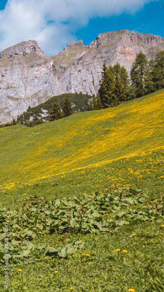 Fototapeta premium Smartphone HD wallpaper of beautiful alpine view at the Achensee - Maurach - Tyrol - Austria