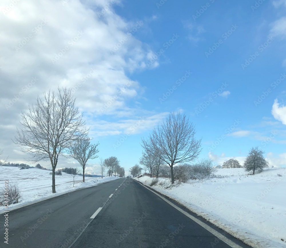 Obraz premium Snow road