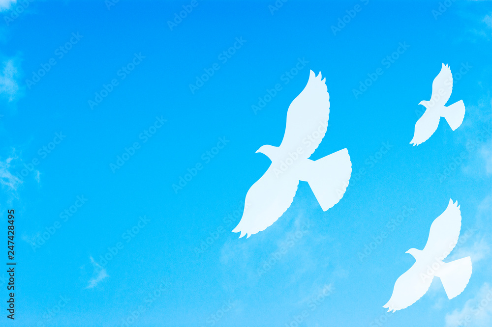 White pigeon silhouettes in the sky White pigeon silhouettes in the sky